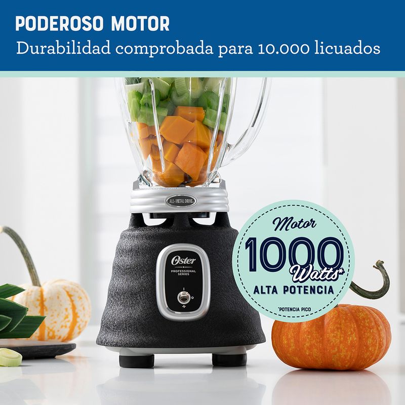 Oster Batidora de potencia de 6 tazas de 800 vatios en gris con motor de  alta velocidad